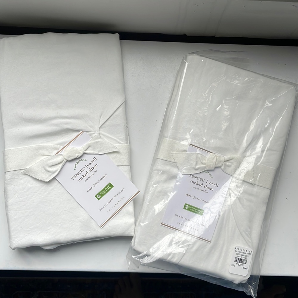 Pottery Barn Euro Shams (set of 2)